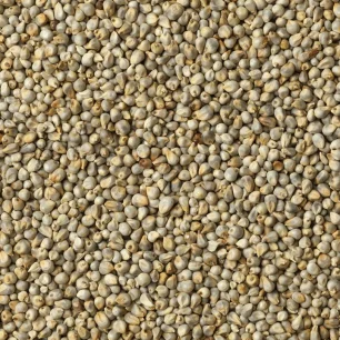 Green Millet Seeds