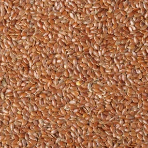 Flax Seeds