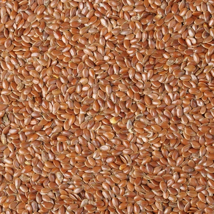 Flax Seeds