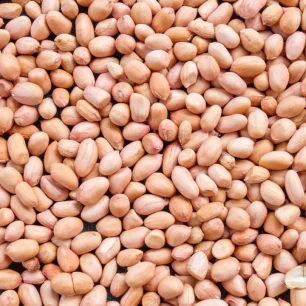 Groundnut Seeds