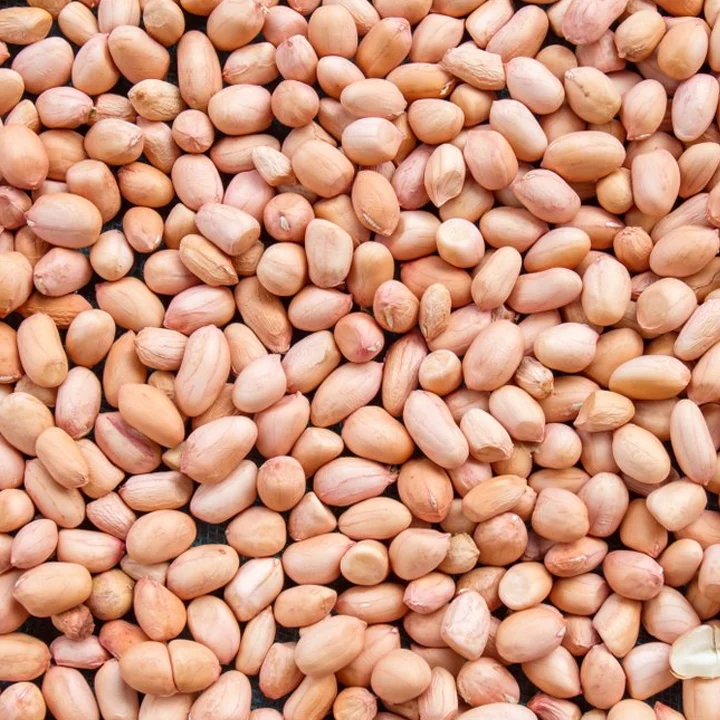 Groundnut Seeds