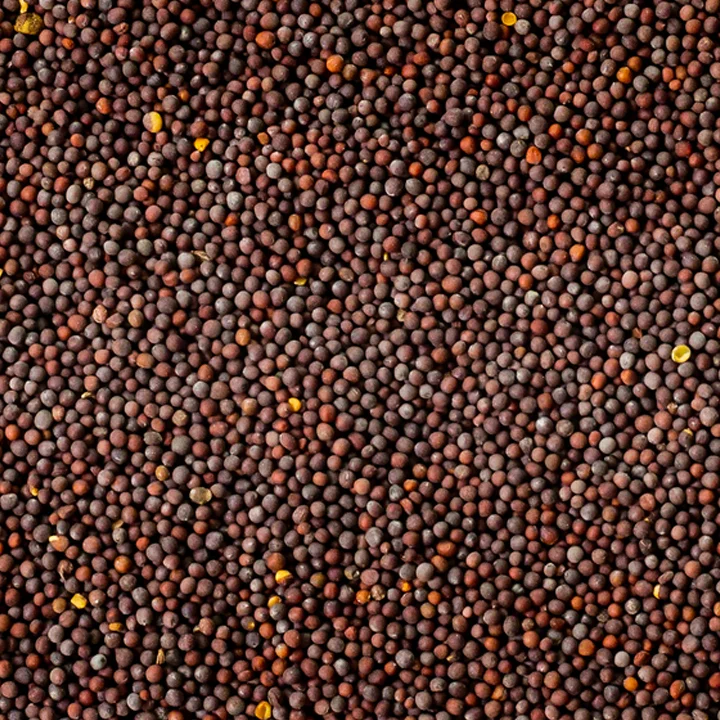 Mustard Seeds
