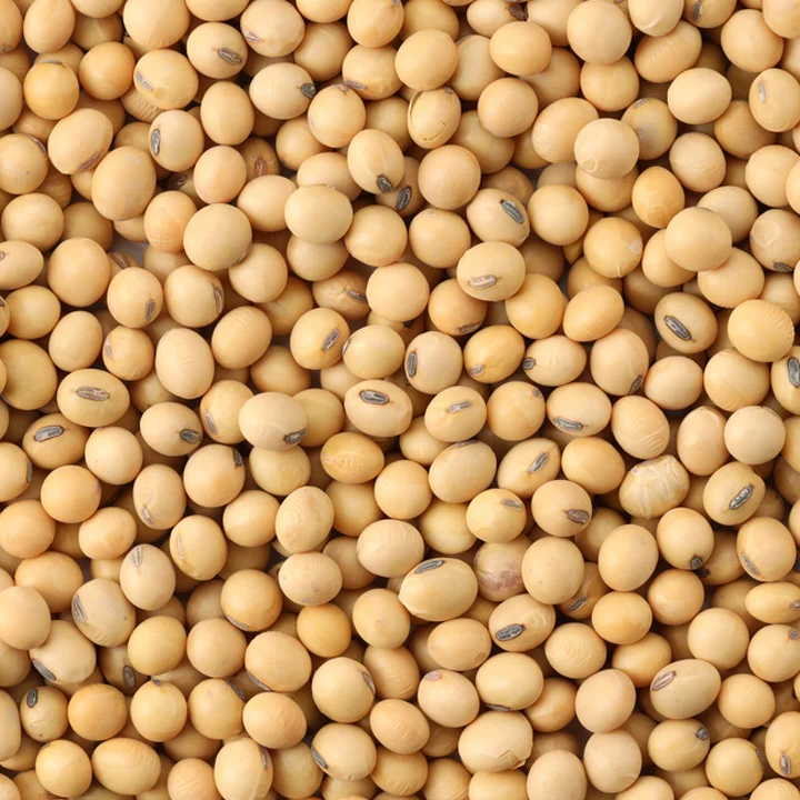 Soybean Seeds