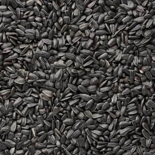 Sunflower Seeds