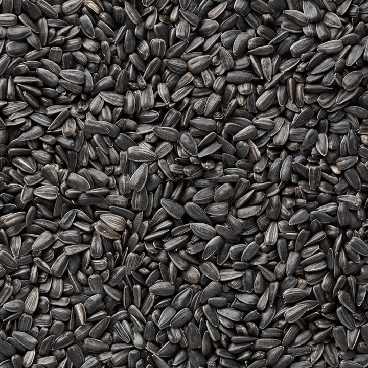 Sunflower Seeds