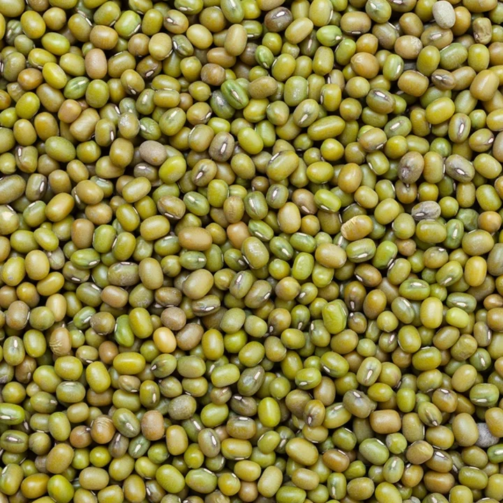 Green Mung