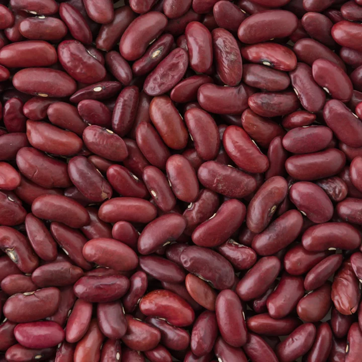 Kidney Beans