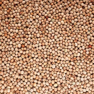 Pigeon Peas