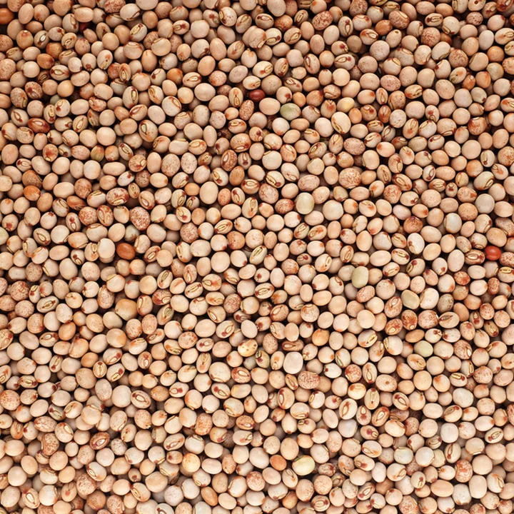 Pigeon Peas