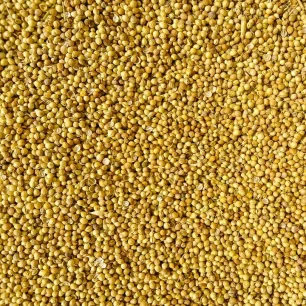 Coriander Seeds