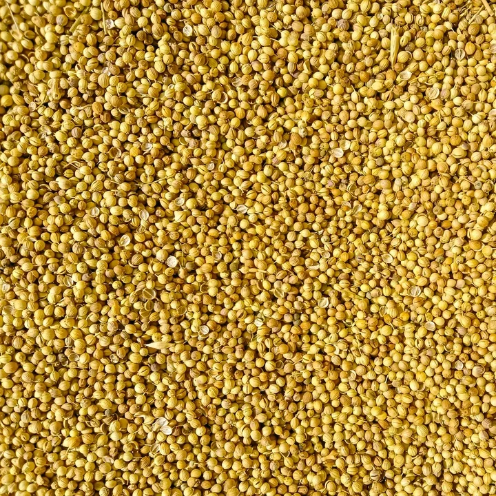 Coriander Seeds