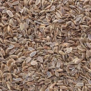Dill Seeds