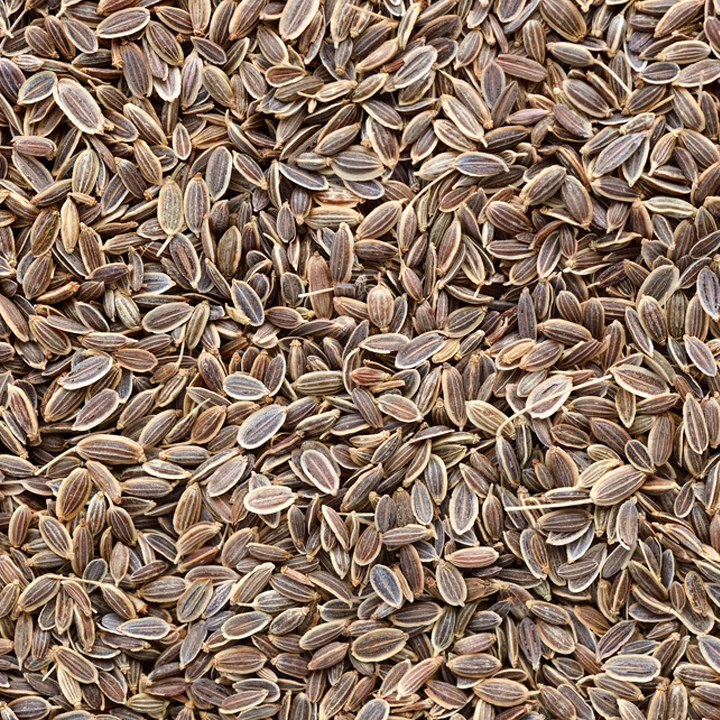 Dill Seeds
