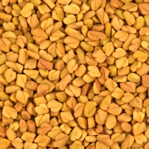 Fenugreek Seeds