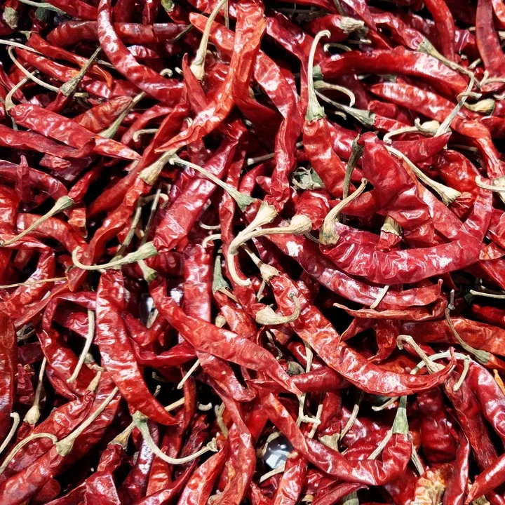 Red Chilli